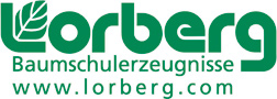 Lorberg